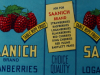 "Saanich Brand Loganberries"