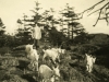 Clara Unwin with Goats