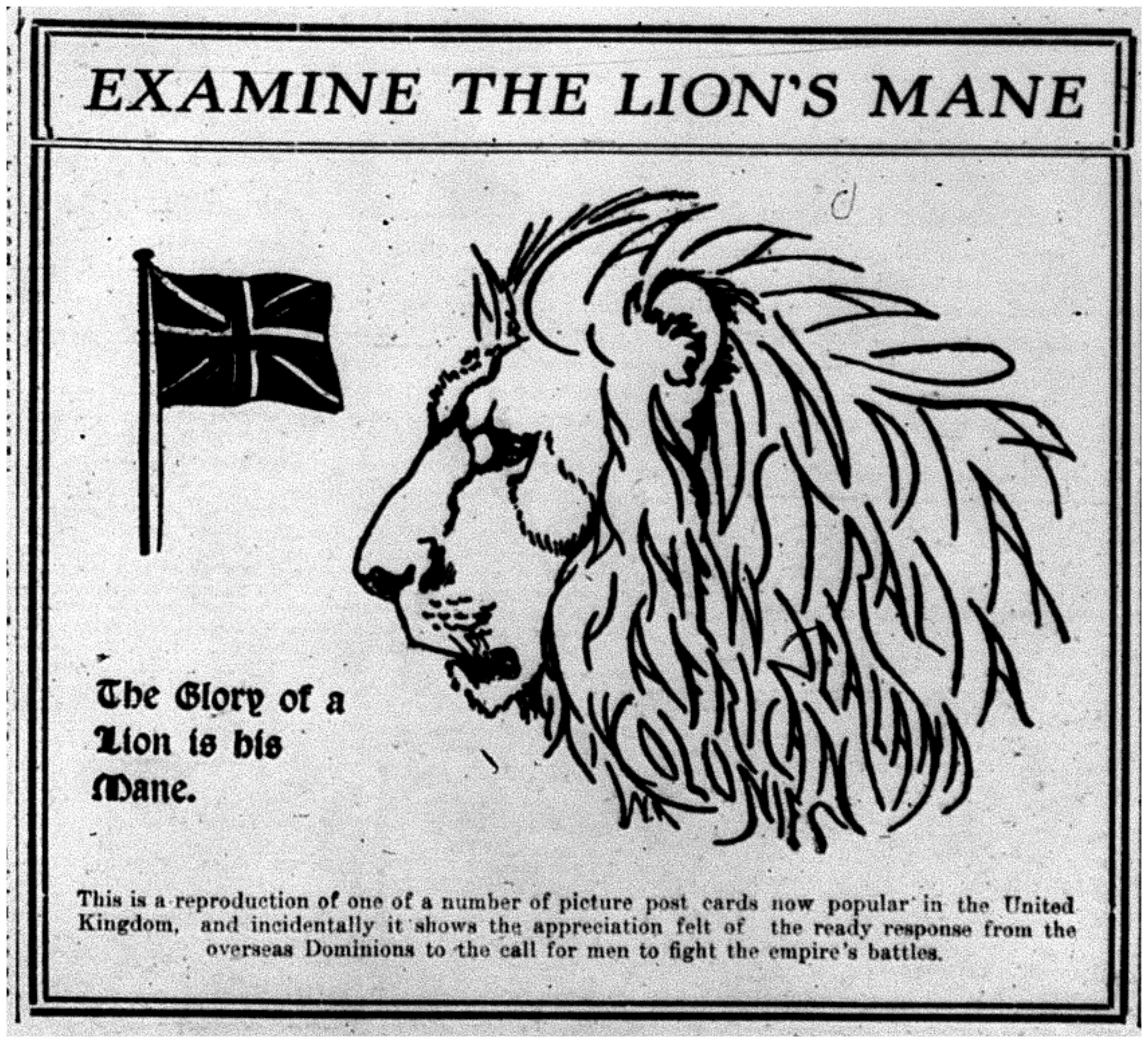 "Examine the Lion's Mane"